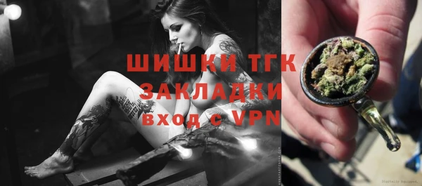 индика Няндома