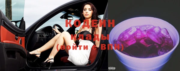 индика Няндома