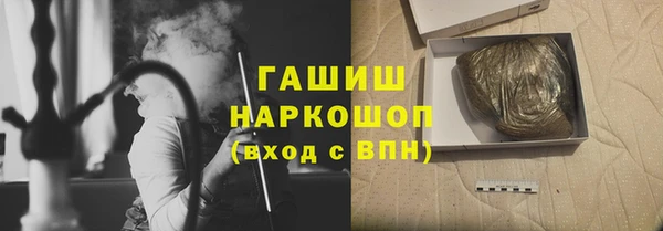 индика Няндома