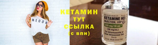 индика Няндома