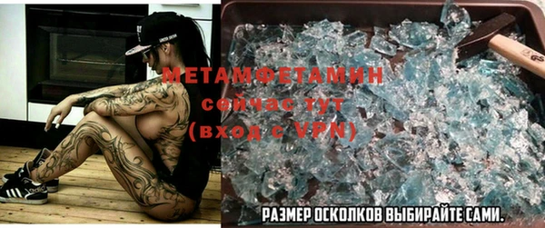 индика Няндома