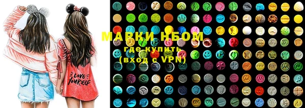 индика Няндома