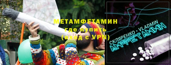 индика Няндома