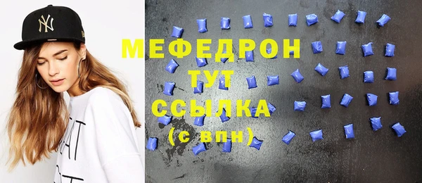 индика Няндома