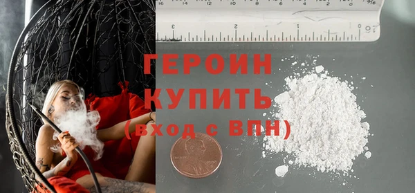 индика Няндома