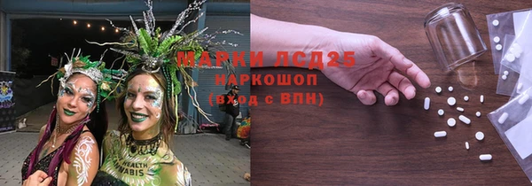 индика Няндома
