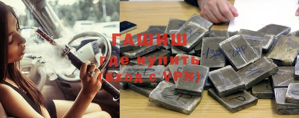 индика Няндома