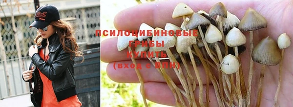 амф Нягань
