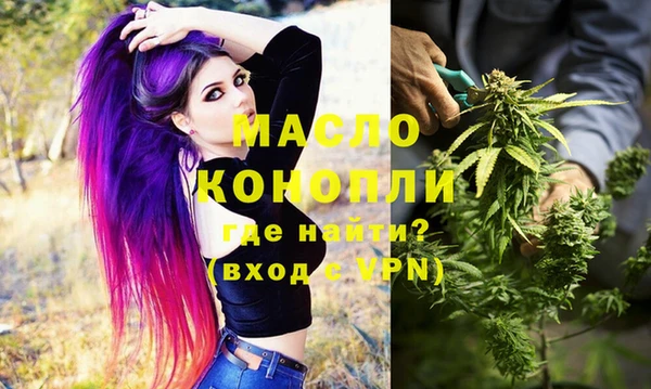 индика Няндома