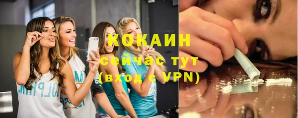 индика Няндома