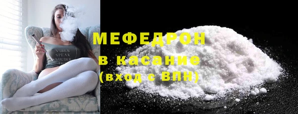 индика Няндома