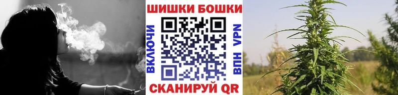 Шишки марихуана гибрид  Руза 